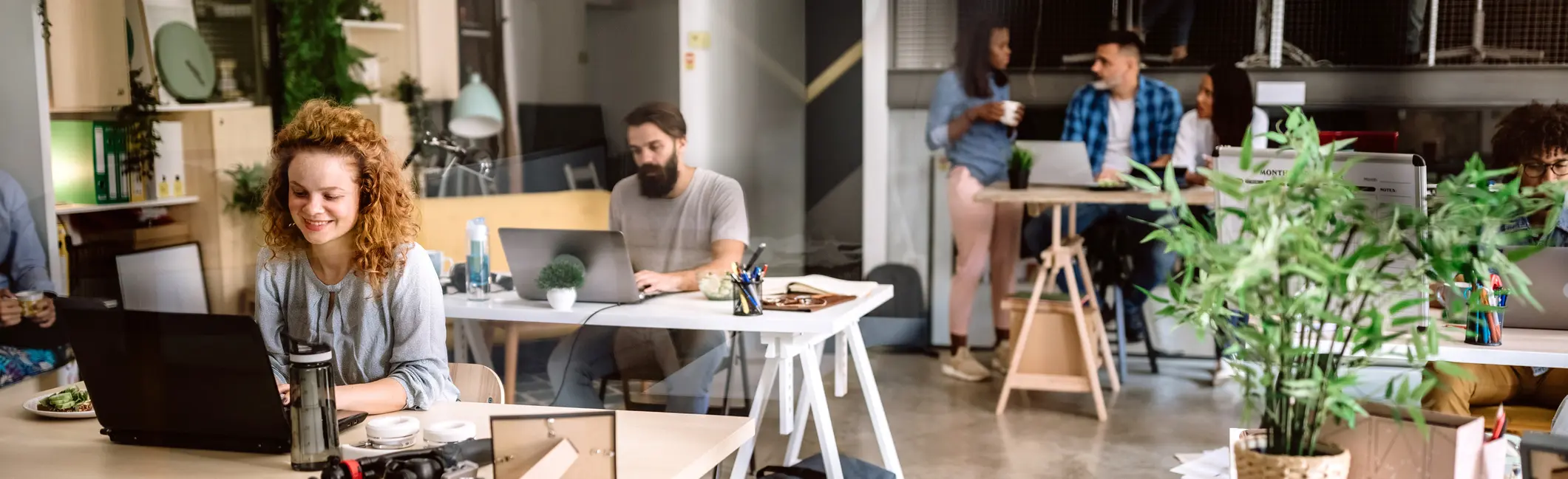 people working in an office